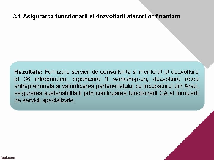 3. 1 Asigurarea functionarii si dezvoltarii afacerilor finantate Rezultate: Furnizare servicii de consultanta si