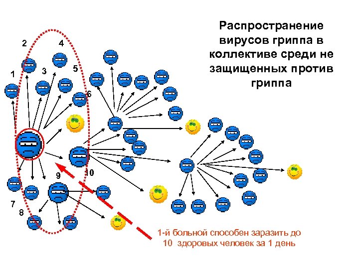 2 4 5 3 1 6 9 7 Распространение вирусов гриппа в коллективе среди