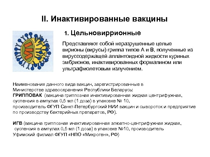 II. Инактивированные вакцины 1. Цельновиррионные Представляют собой неразрушенные целые вирионы (вирусы) гриппа типов А