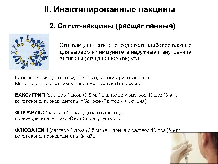 II. Инактивированные вакцины 2. Сплит-вакцины (расщепленные) Это вакцины, которые содержат наиболее важные для выработки
