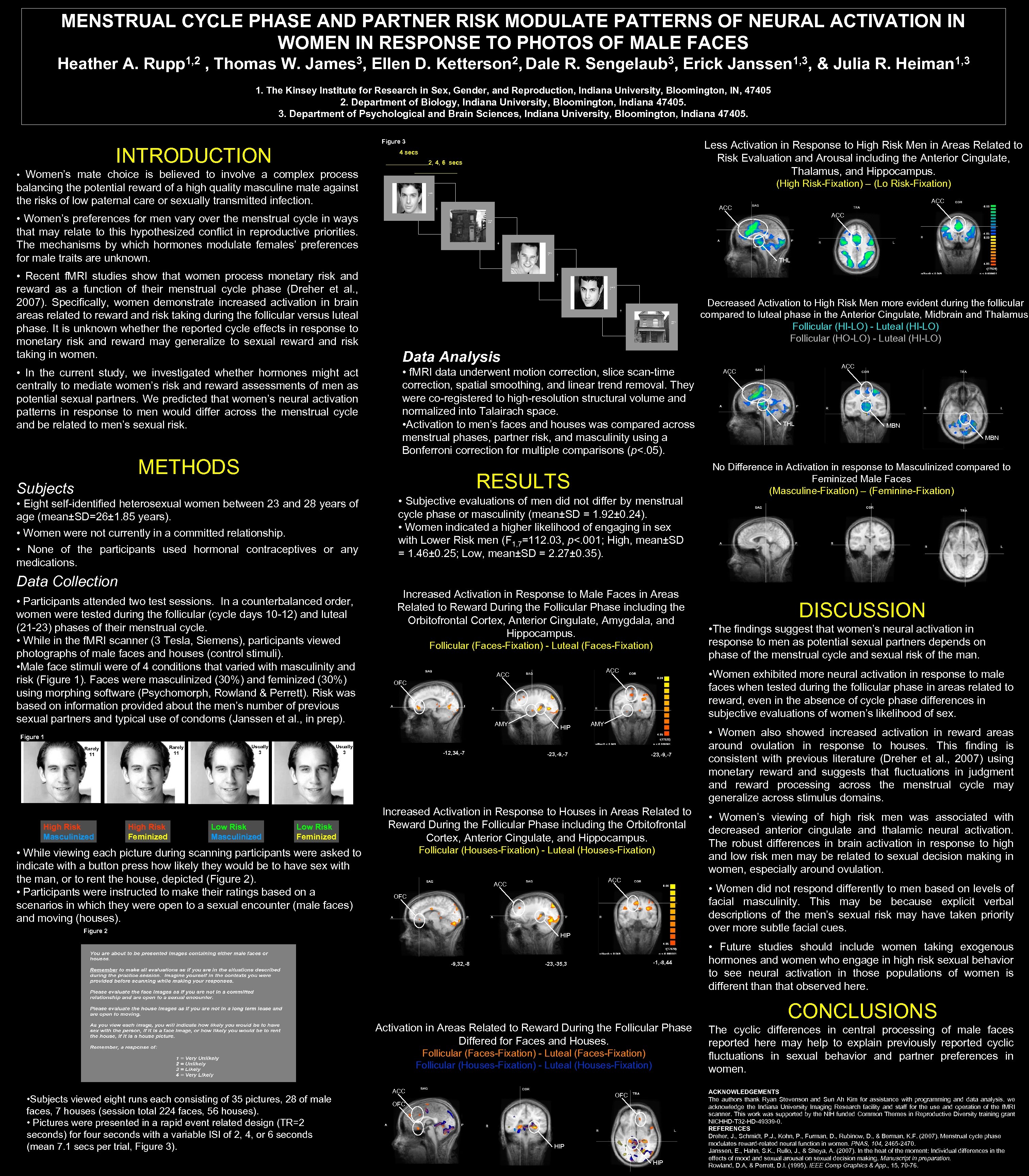 MENSTRUAL CYCLE PHASE AND PARTNER RISK MODULATE PATTERNS OF NEURAL ACTIVATION IN WOMEN IN