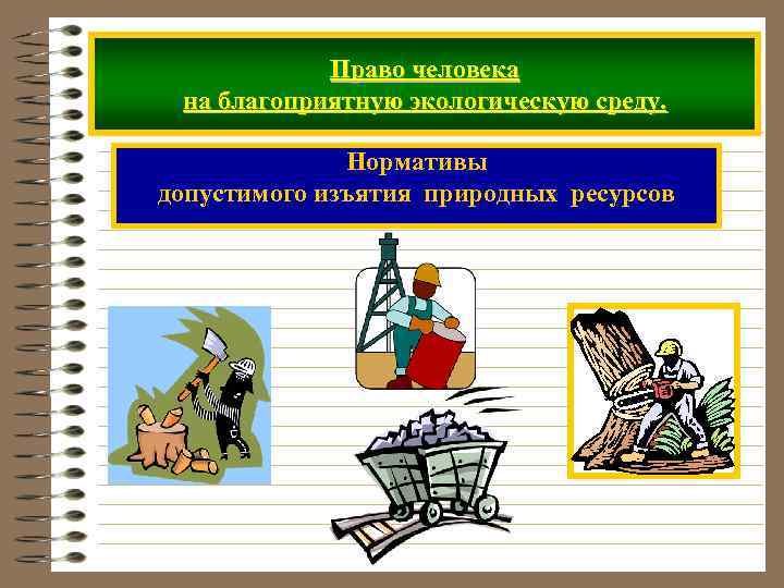 Право человека на благоприятную экологическую среду. Нормативы допустимого изъятия природных ресурсов 