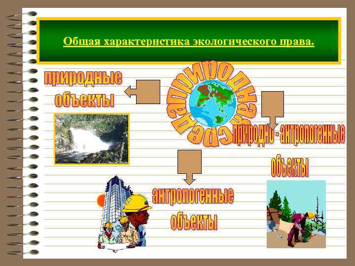 Общая характеристика экологического права. 