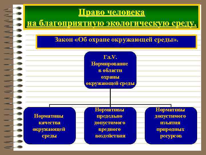 Право человека на благоприятную экологическую среду. Закон «Об охране окружающей среды» . Гл. V.