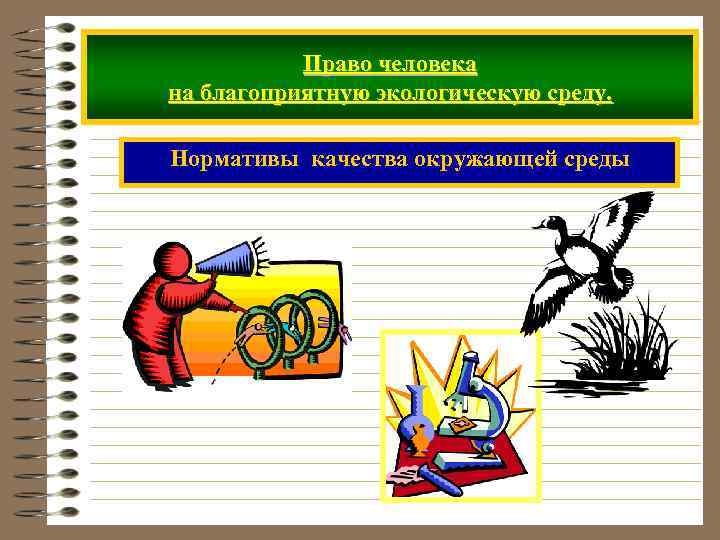 Право человека на благоприятную экологическую среду. Нормативы качества окружающей среды 