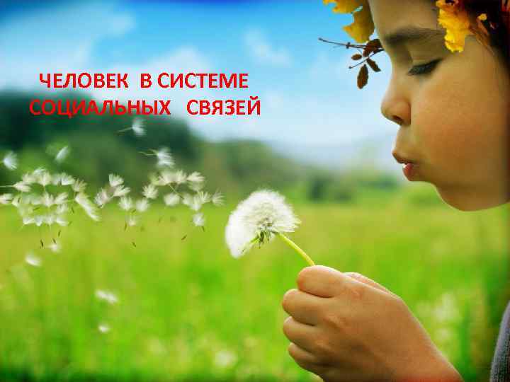 ЧЕЛОВЕК В СИСТЕМЕ СОЦИАЛЬНЫХ СВЯЗЕЙ 