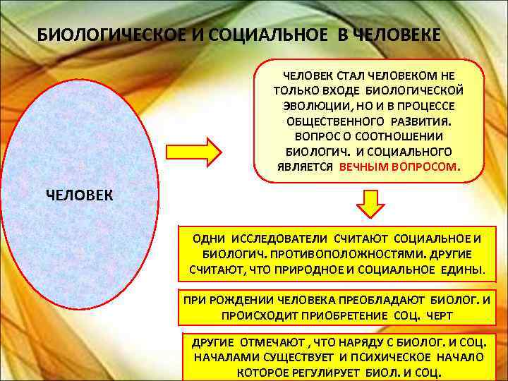 БИОЛОГИЧЕСКОЕ И СОЦИАЛЬНОЕ В ЧЕЛОВЕКЕ ЧЕЛОВЕК СТАЛ ЧЕЛОВЕКОМ НЕ ТОЛЬКО ВХОДЕ БИОЛОГИЧЕСКОЙ ЭВОЛЮЦИИ, НО