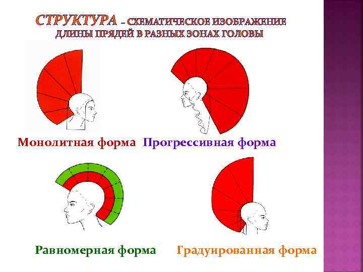 Схема стрижки прогрессивной формы