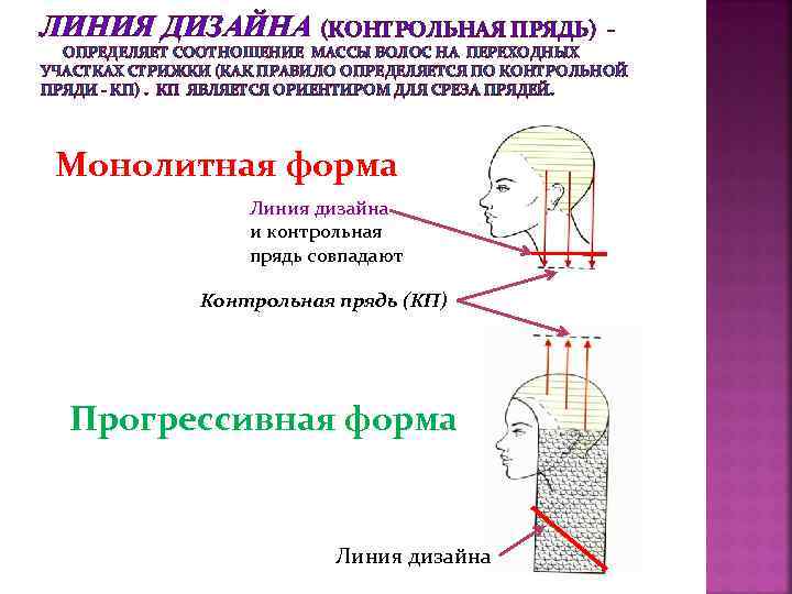 ЛИНИЯ ДИЗАЙНА (КОНТРОЛЬНАЯ ПРЯДЬ) - ОПРЕДЕЛЯЕТ СООТНОШЕНИЕ МАССЫ ВОЛОС НА ПЕРЕХОДНЫХ УЧАСТКАХ СТРИЖКИ (КАК