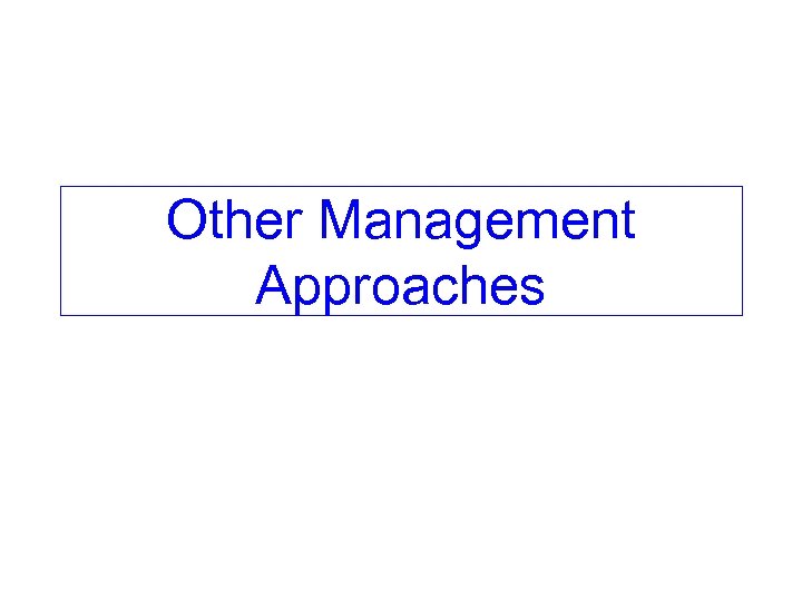 Other Management Approaches 