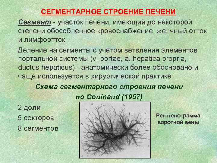 СЕГМЕНТАРНОЕ СТРОЕНИЕ ПЕЧЕНИ Сегмент - участок печени, имеющий до некоторой степени обособленное кровоснабжение, желчный