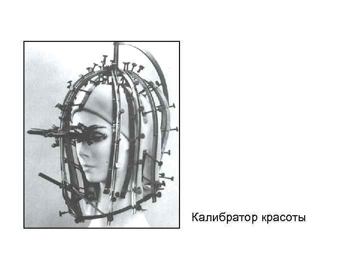 Калибратор красоты 