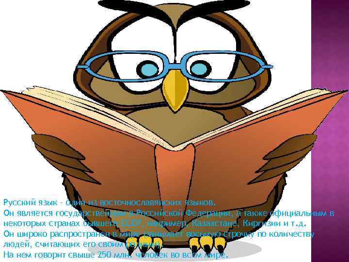 Русский язык – один из восточнославянских языков. Он является государственным в Российской Федерации, а