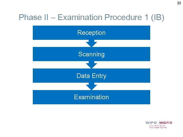 35 Phase II – Examination Procedure 1 (IB) Reception Scanning Data Entry Examination 