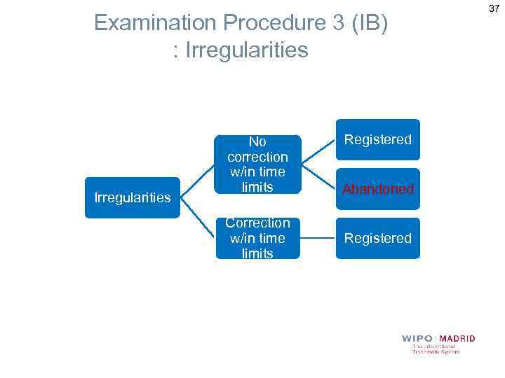 Examination Procedure 3 (IB) : Irregularities No correction w/in time limits Correction w/in time