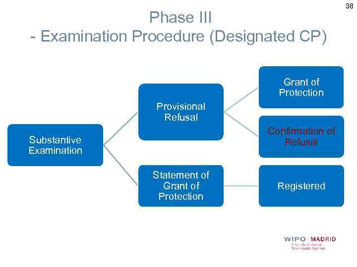 Phase III - Examination Procedure (Designated CP) Grant of Protection Provisional Refusal Confirmation of