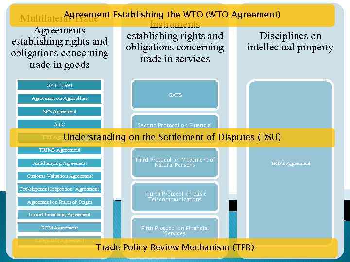 Agreement Multilateral Trade Establishing the WTO (WTO Agreement) Instruments Agreements establishing rights and Disciplines