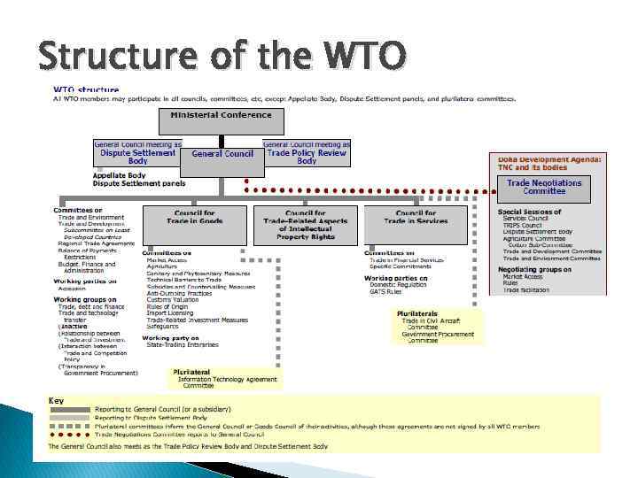 Structure of the WTO 