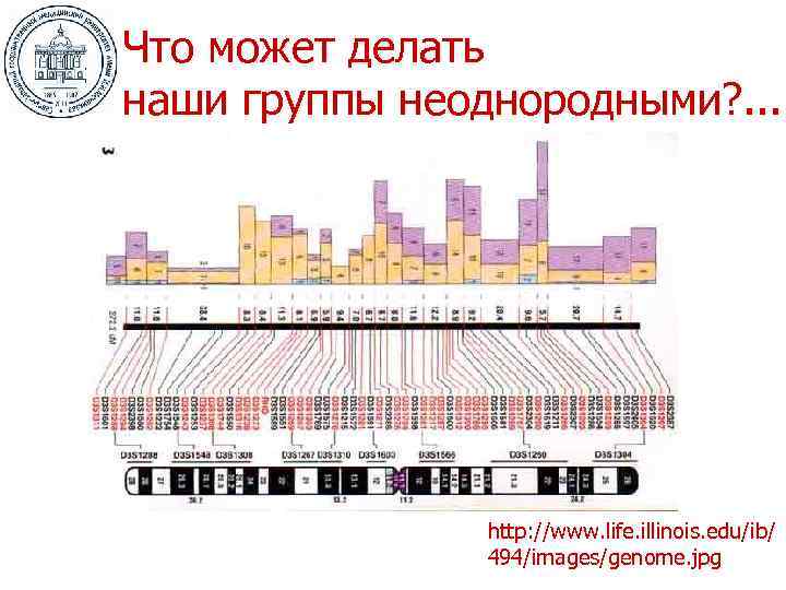 Что может делать наши группы неоднородными? . . . http: //www. life. illinois. edu/ib/