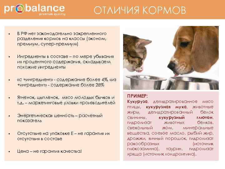 ОТЛИЧИЯ КОРМОВ Отличия кормов § § § § В РФ нет законодательно закрепленного разделения