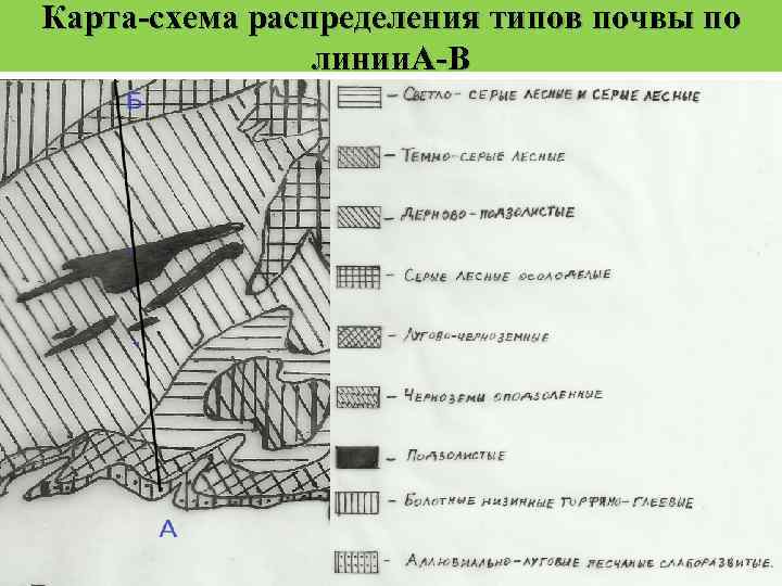 Карта-схема распределения типов почвы по линии. А-В 