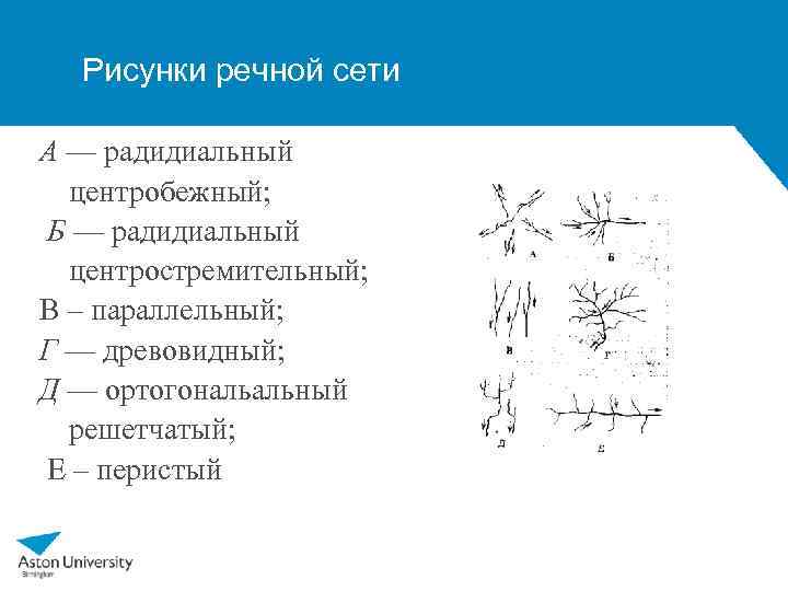 Морфологическое строение