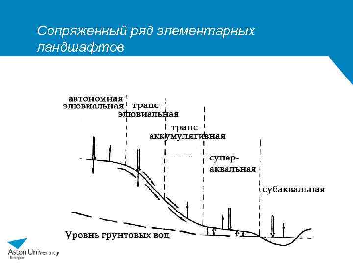 Аквальный комплекс это