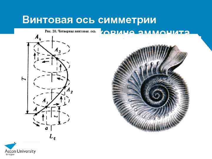 Винтовая симметрия картинки