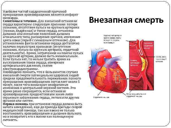 Болезни сердечно сосудистой системы презентация ветеринария