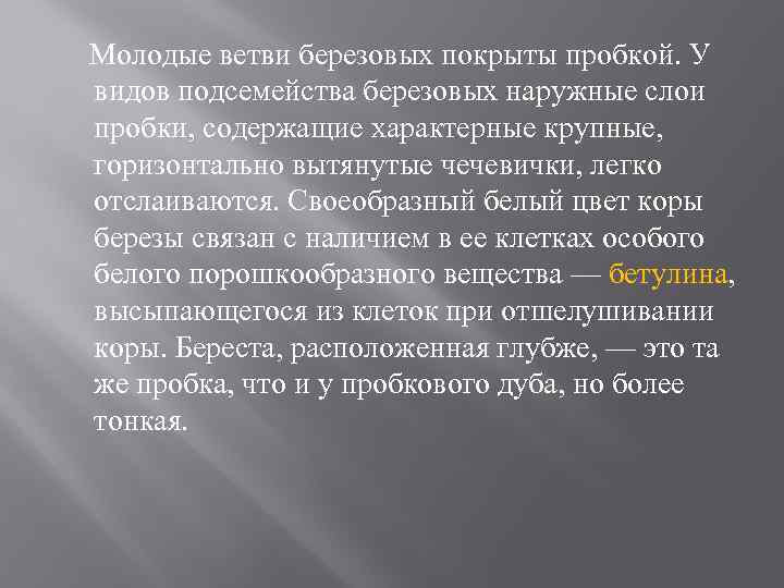 Молодые ветви березовых покрыты пробкой. У видов подсемейства березовых наружные слои пробки, содержащие характерные