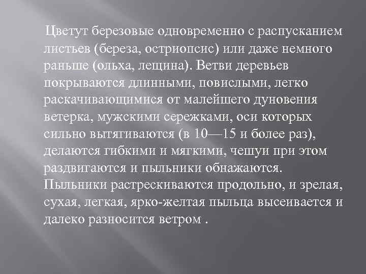 Цветут березовые одновременно с распусканием листьев (береза, остриопсис) или даже немного раньше (ольха, лещина).