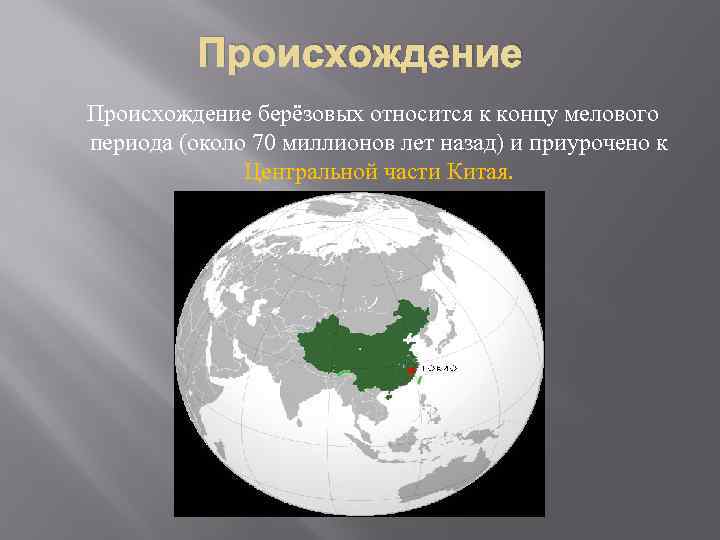 Происхождение берёзовых относится к концу мелового периода (около 70 миллионов лет назад) и приурочено