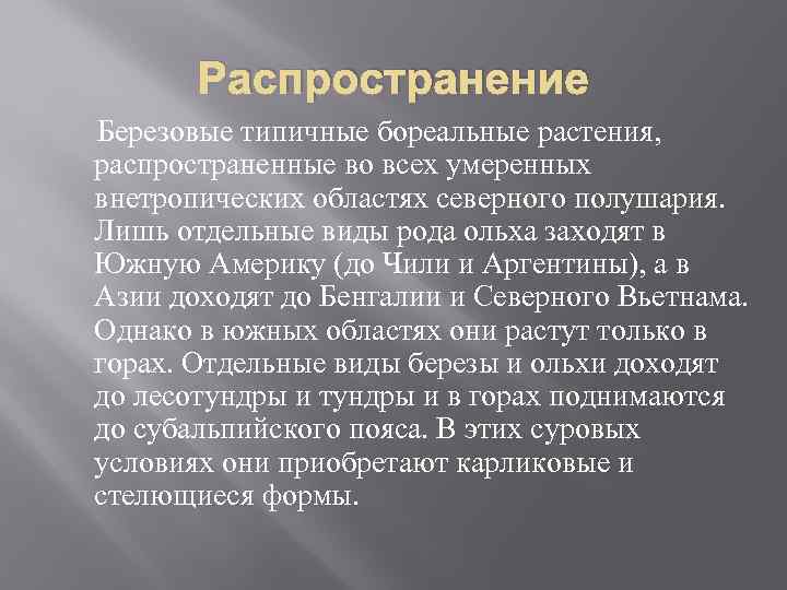 Распространение Березовые типичные бореальные растения, распространенные во всех умеренных внетропических областях северного полушария. Лишь