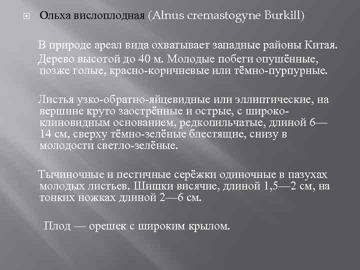  Ольха вислоплодная (Alnus cremastogyne Burkill) В природе ареал вида охватывает западные районы Китая.