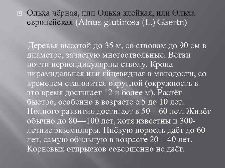  Ольха чёрная, или Ольха клейкая, или Ольха европейская (Alnus glutinosa (L. ) Gaertn)