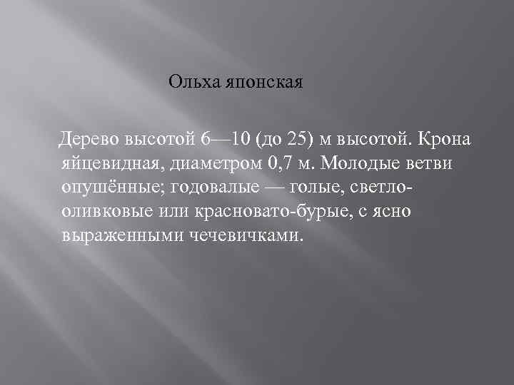 Ольха японская Дерево высотой 6— 10 (до 25) м высотой. Крона яйцевидная, диаметром 0,