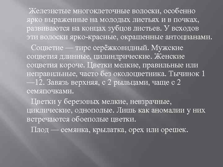 Железистые многоклеточные волоски, особенно ярко выраженные на молодых листьях и в почках, развиваются на