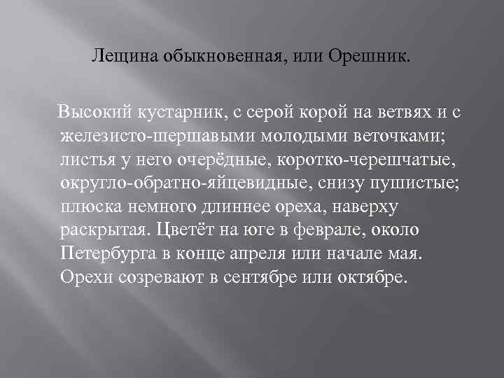 Лещина обыкновенная, или Орешник. Высокий кустарник, с серой корой на ветвях и с железисто-шершавыми