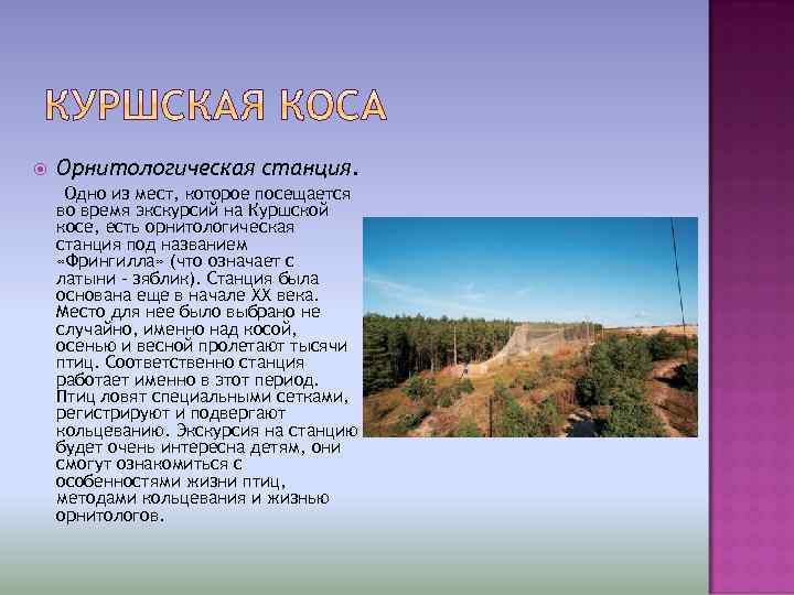  Орнитологическая станция. Одно из мест, которое посещается во время экскурсий на Куршской косе,