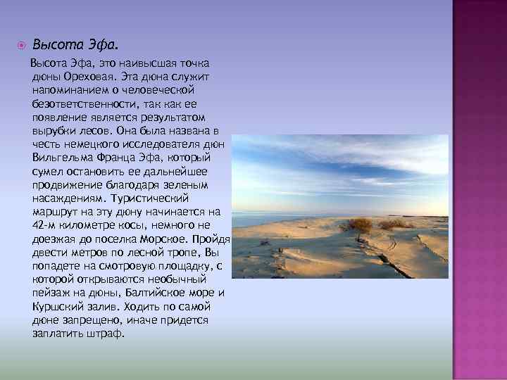  Высота Эфа, это наивысшая точка дюны Ореховая. Эта дюна служит напоминанием о человеческой