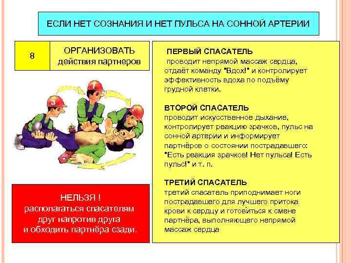 В случае отсутствия пульса на сонной артерии