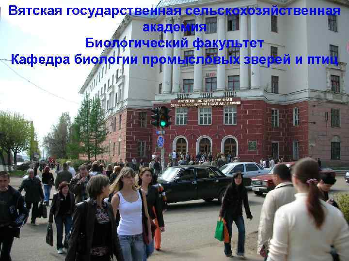 Вятская государственная сельскохозяйственная академия Биологический факультет Кафедра биологии промысловых зверей и птиц 