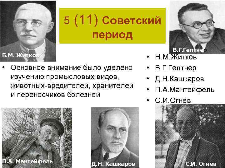 5 (11) Советский период Б. М. Житков • Основное внимание было уделено изучению промысловых