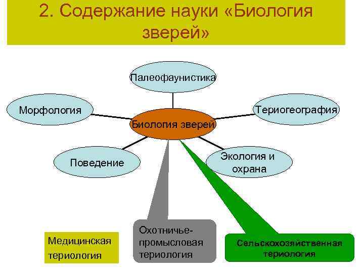 2. Содержание науки «Биология зверей» Палеофаунистика Териогеография Морфология Биология зверей Экология и охрана Поведение