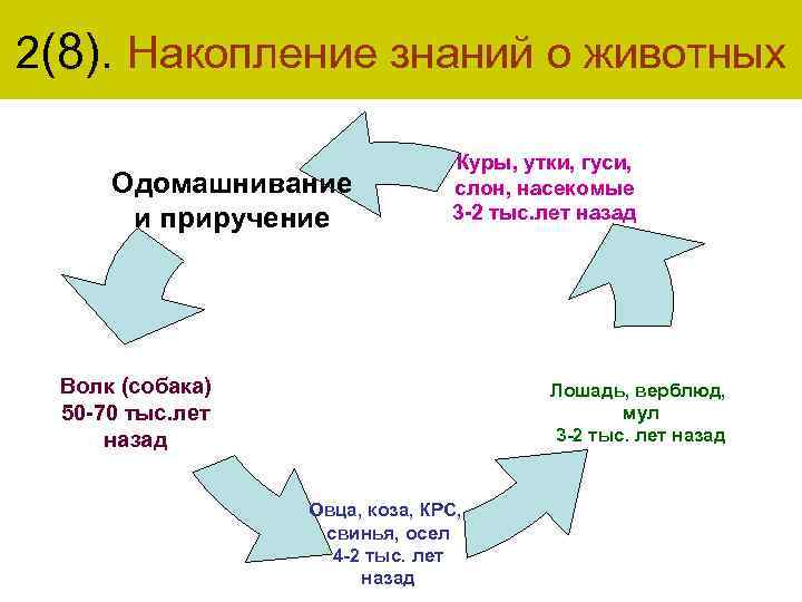 2(8). Накопление знаний о животных Одомашнивание и приручение Куры, утки, гуси, слон, насекомые 3