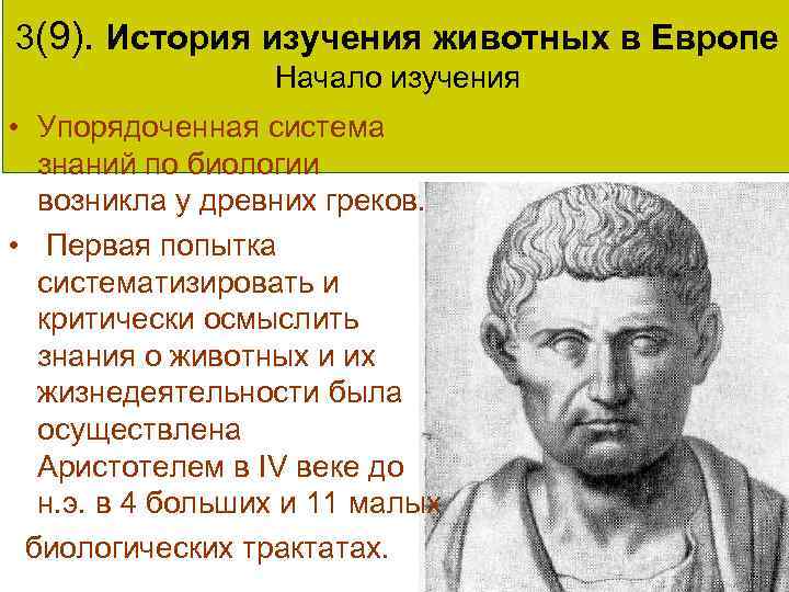 3(9). История изучения животных в Европе Начало изучения • Упорядоченная система знаний по биологии