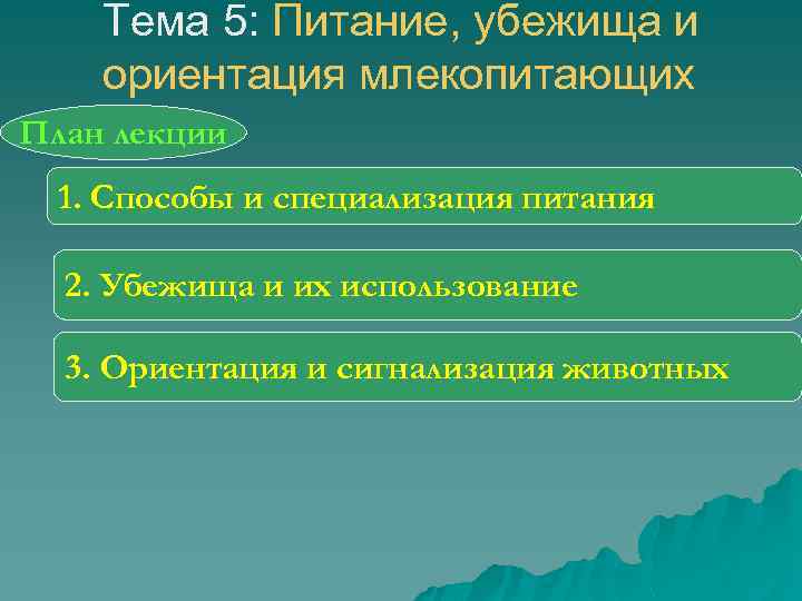Тема 5: Питание, убежища и ориентация млекопитающих План лекции 1. Способы и специализация питания