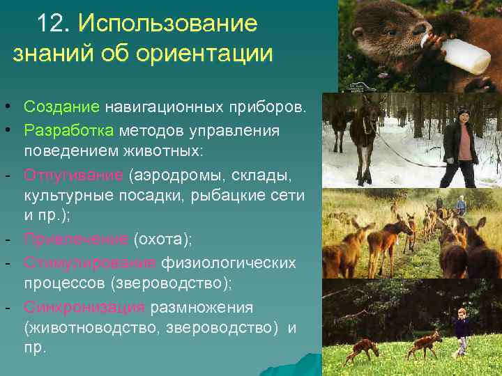 12. Использование знаний об ориентации • Создание навигационных приборов. • Разработка методов управления поведением