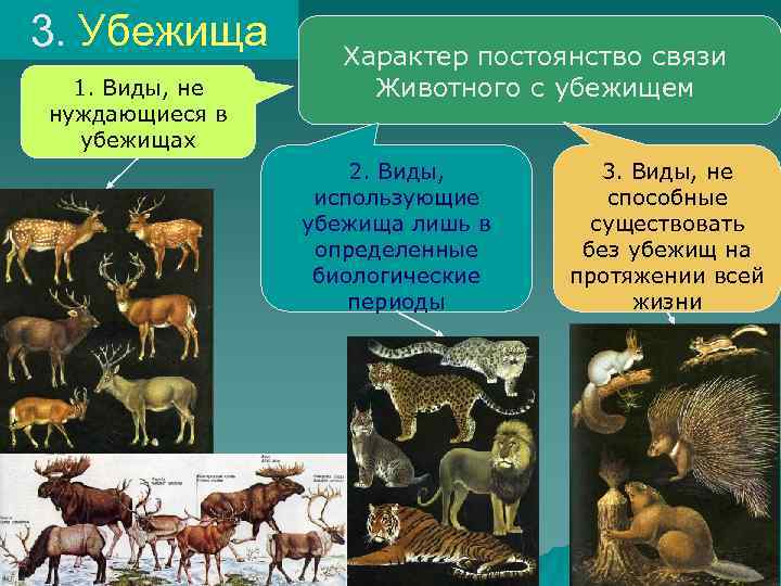3. Убежища 1. Виды, не нуждающиеся в убежищах Характер постоянство связи Животного с убежищем