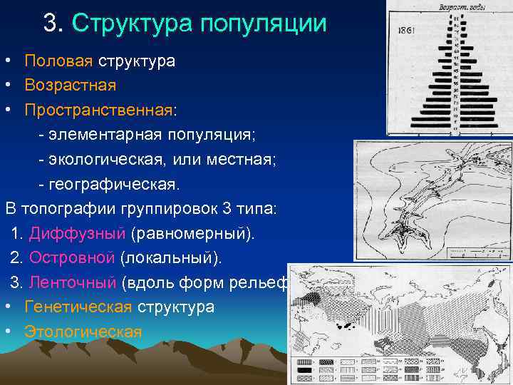 3. Структура популяции • Половая структура • Возрастная • Пространственная: - элементарная популяция; -